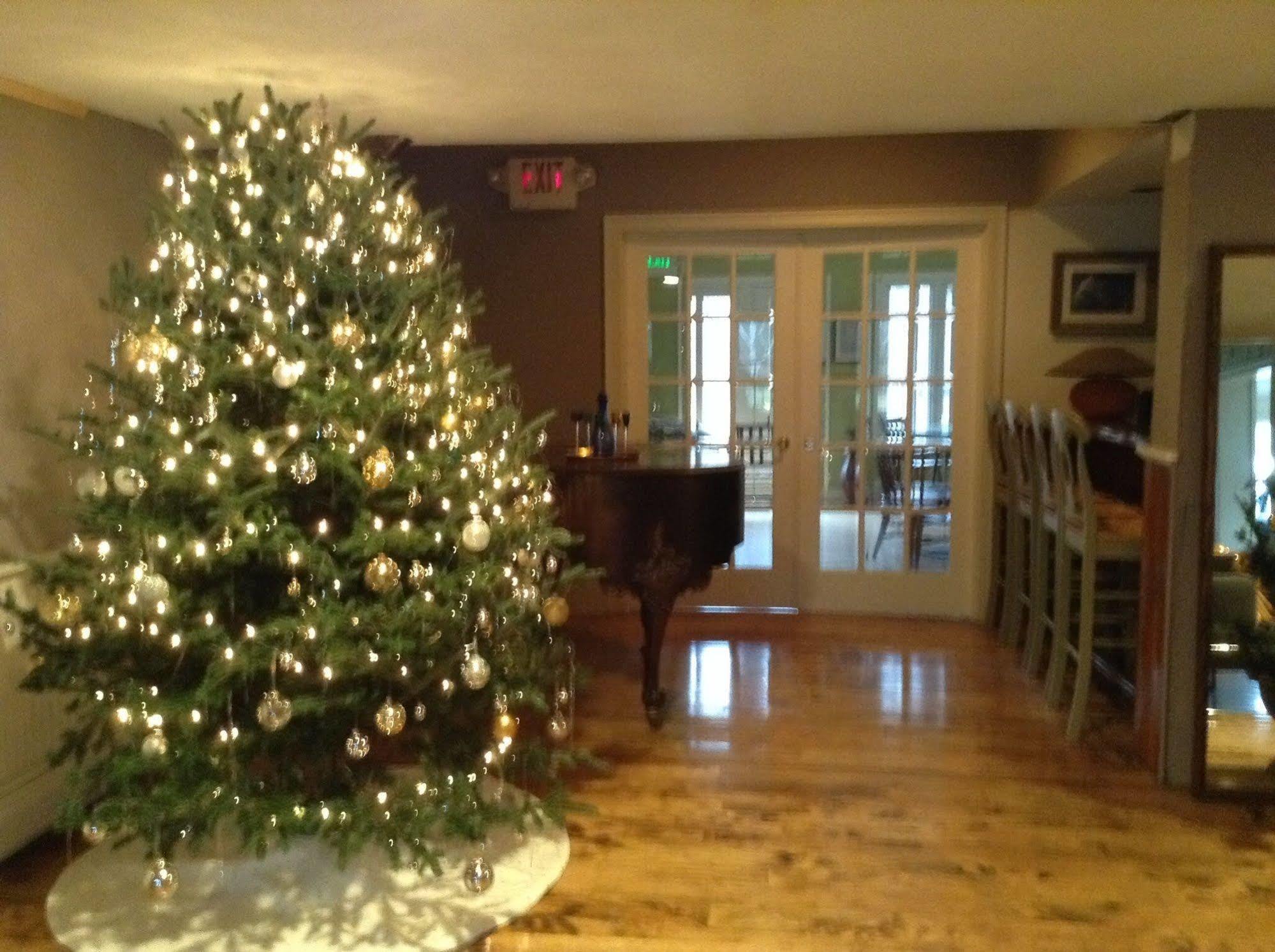 Green River Inn Sandgate Экстерьер фото
